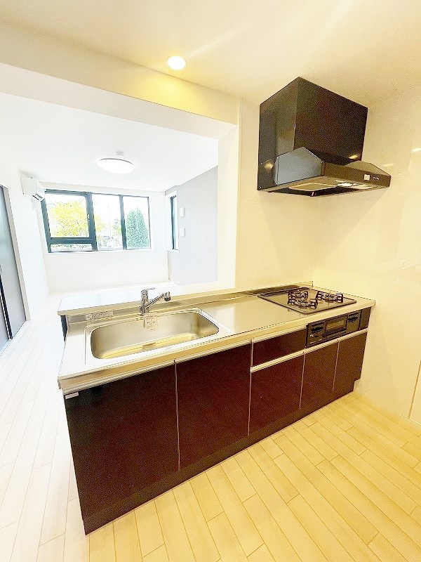 CITRUS　TREE（シトラスツリー） その他23