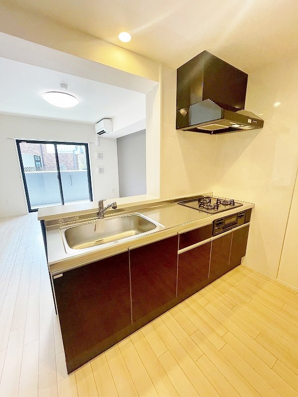 CITRUS　TREE（シトラスツリー） その他22