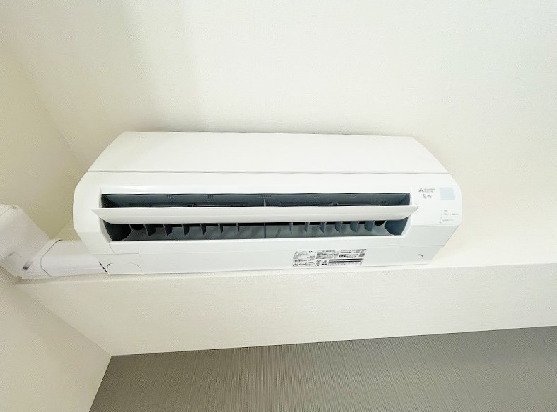 CITRUS　TREE（シトラスツリー） その他27