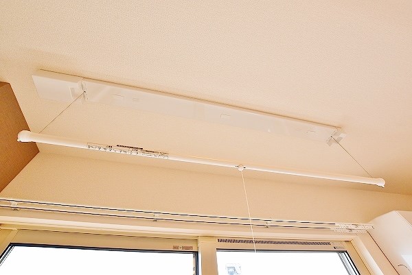 Ａｒｉｇａ　10（アリガ　トウ） その他24