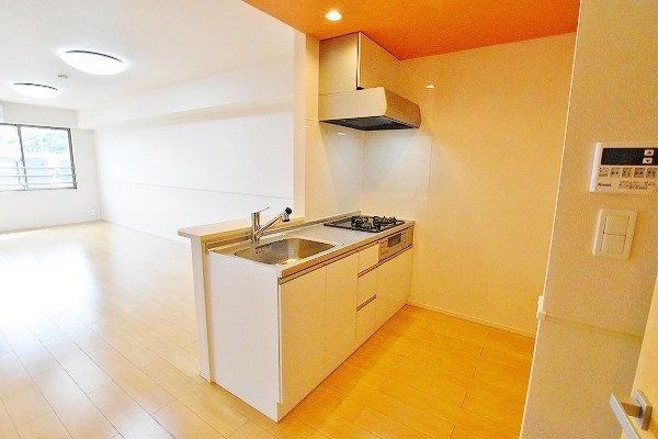 ピラーズ石田 その他16