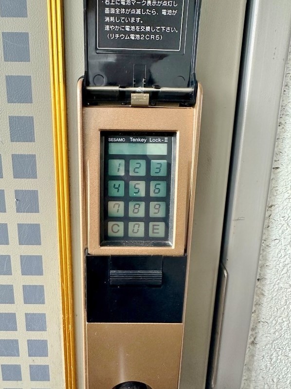 Foxey　(フォクシー) その他6