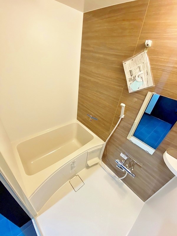 garaxia３８５(ガレッシア385)  その他8