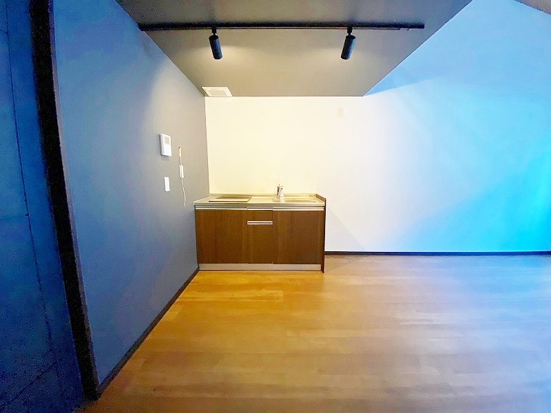 garaxia３８５(ガレッシア385)  その他11