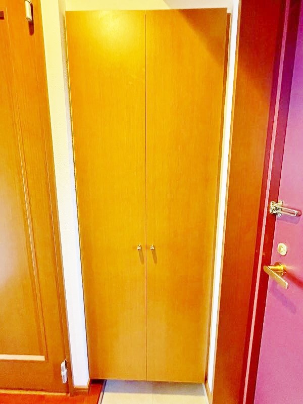 Ｊｕｐｉｔｅｒ（ジュピター） その他11