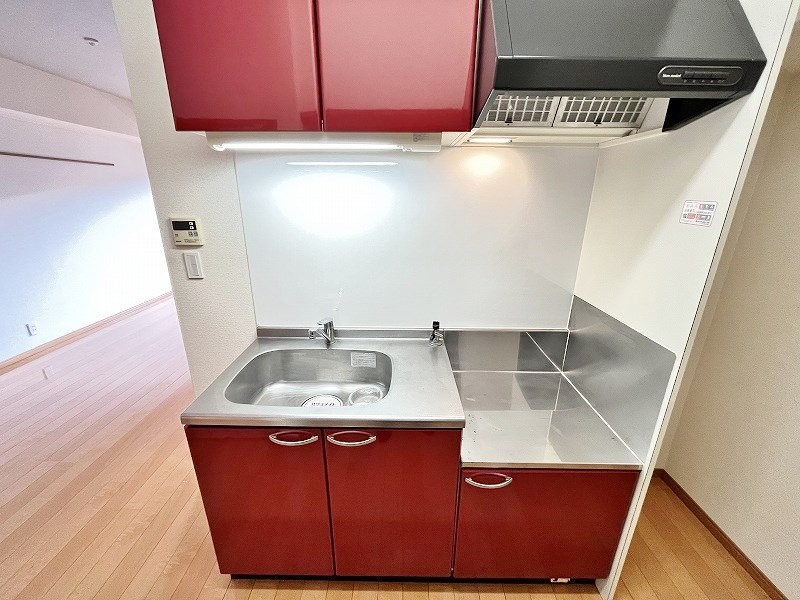 Ｆｅｌｔ５１５（フェルト５１５） その他20