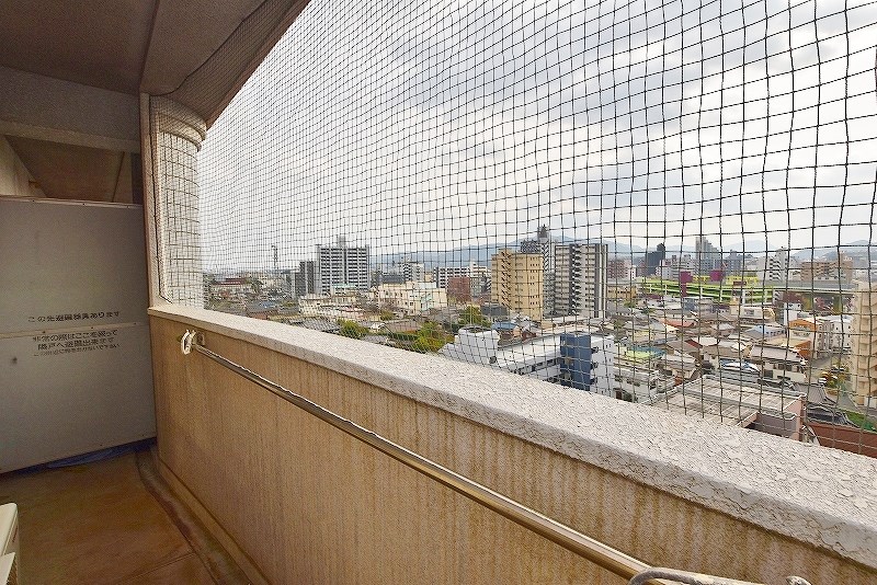 ロイヤルセンチュリー その他32