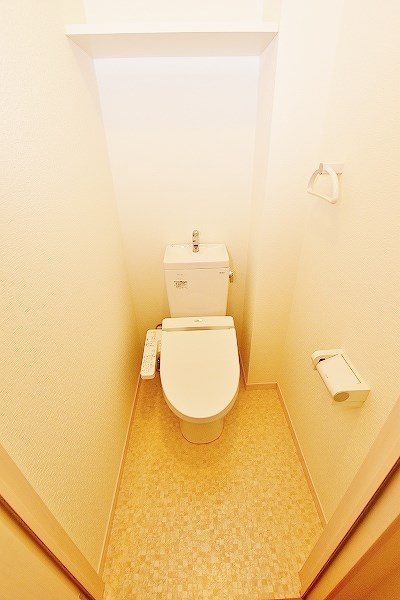 コンフォールパピヨン  その他2