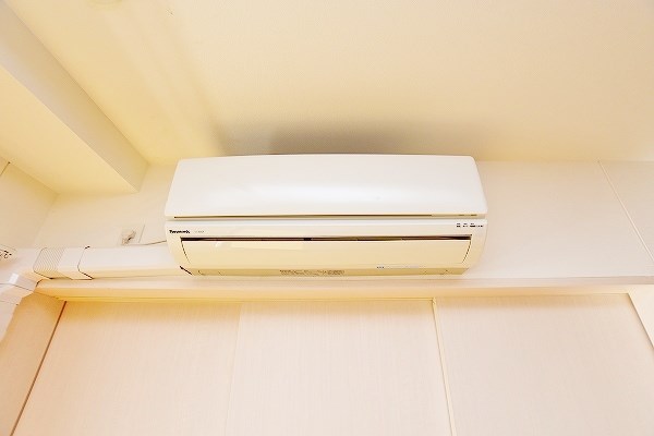 コンフォールパピヨン  その他5