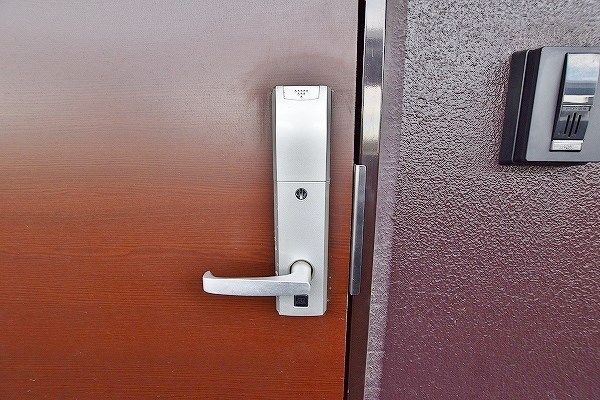 コンフォールパピヨン  その他6