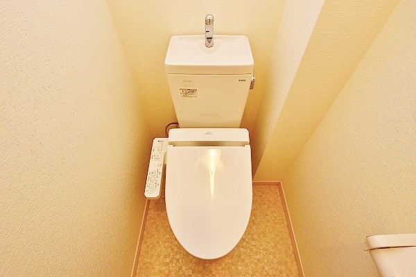 コンフォールパピヨン  その他11