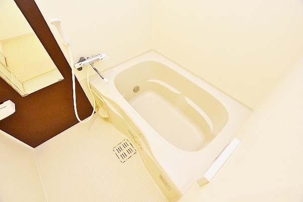 コンフォールパピヨン  その他14