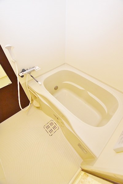 コンフォールパピヨン  その他15