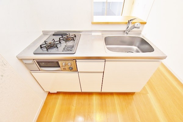 コンフォールパピヨン  その他18