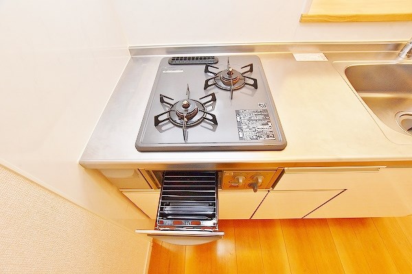 コンフォールパピヨン  その他19