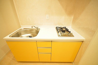 NEW SUN RIVER １５番館（ニューサンリバー１５番館） その他12