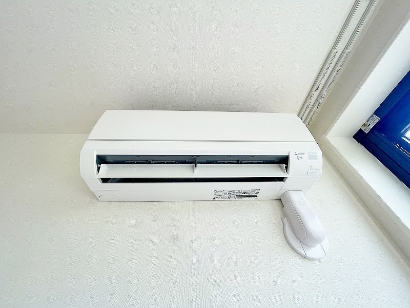 CITRUS　TREE（シトラス　ツリー） その他36