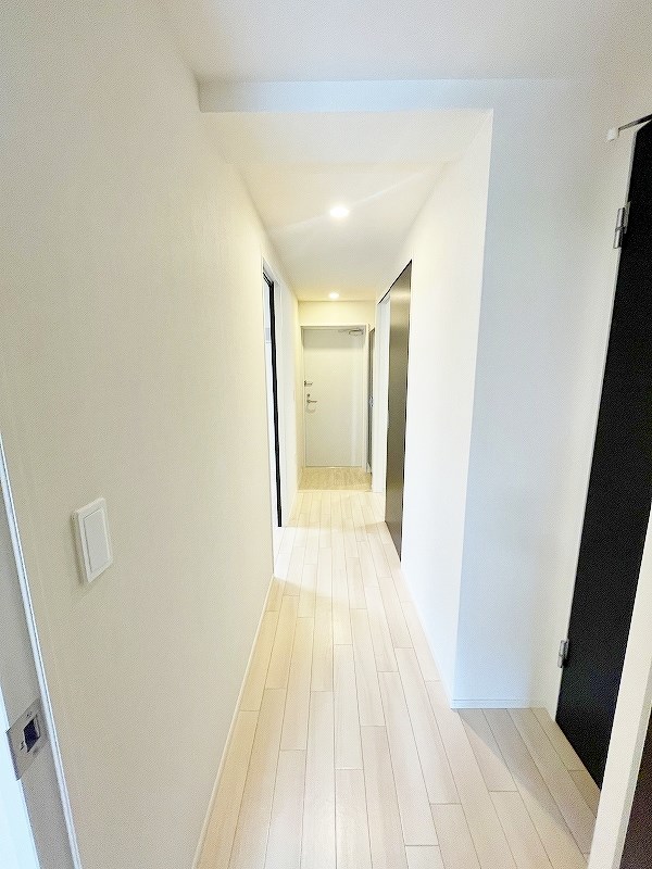 CITRUS　TREE（シトラス　ツリー） その他20