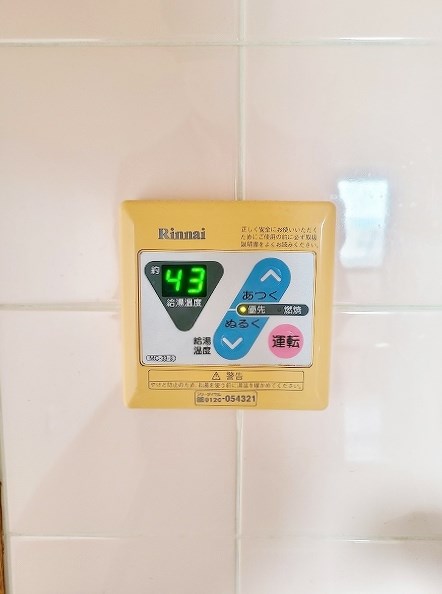 フィオレンティーナ  その他5