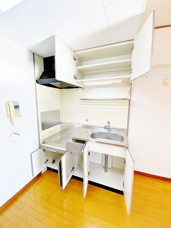 ＲＯＹＡＬ　ＰＡＬＡＣＥ（ロイヤルパレス） キッチン