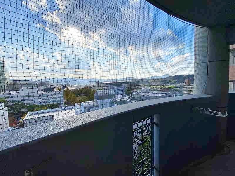 ＲＯＹＡＬ　ＰＡＬＡＣＥ（ロイヤルパレス） その他37