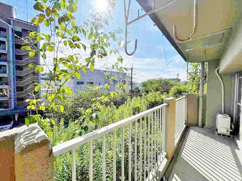 アネシス守恒 その他6