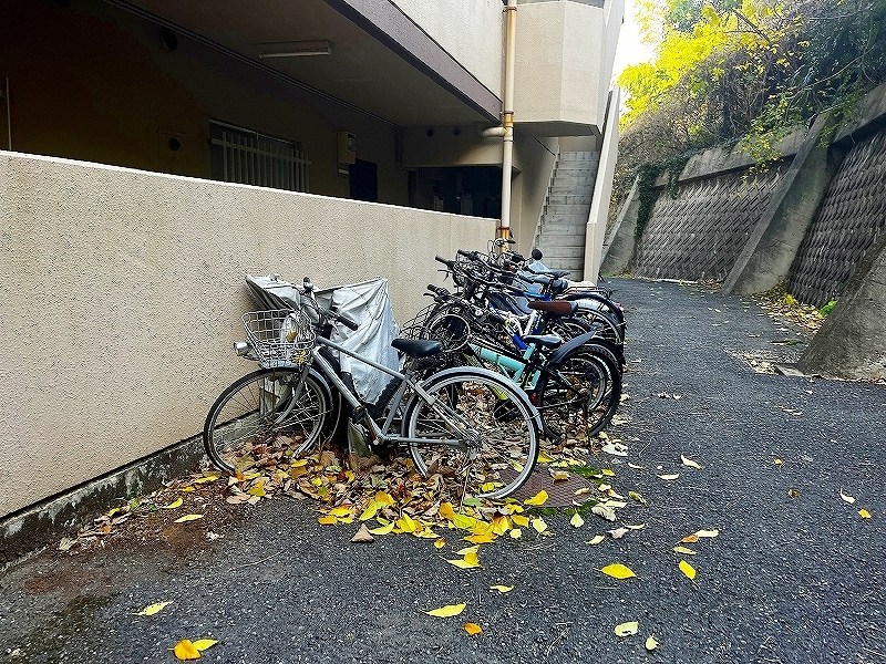 アネシス守恒 その他外観5