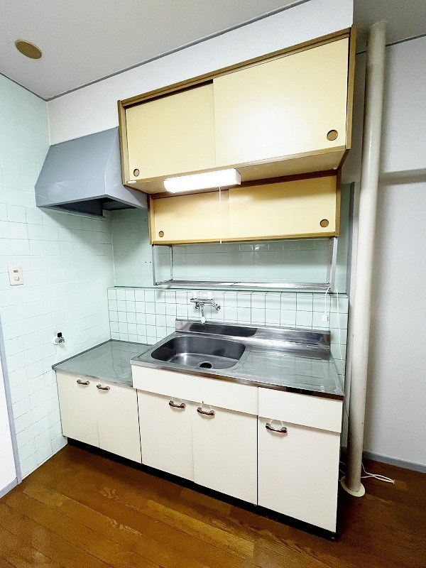 アネシス守恒 その他24