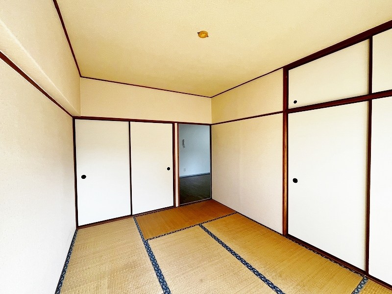 アネシス守恒 その他41