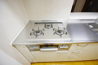 リブラブライト その他5