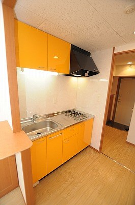 ニューサンリバー１４番館 その他17