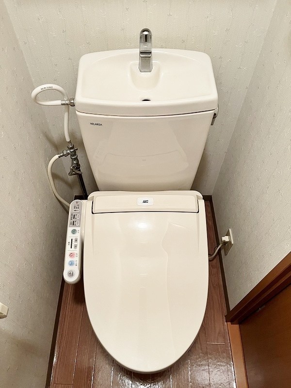 シェレンバウムＦ その他11