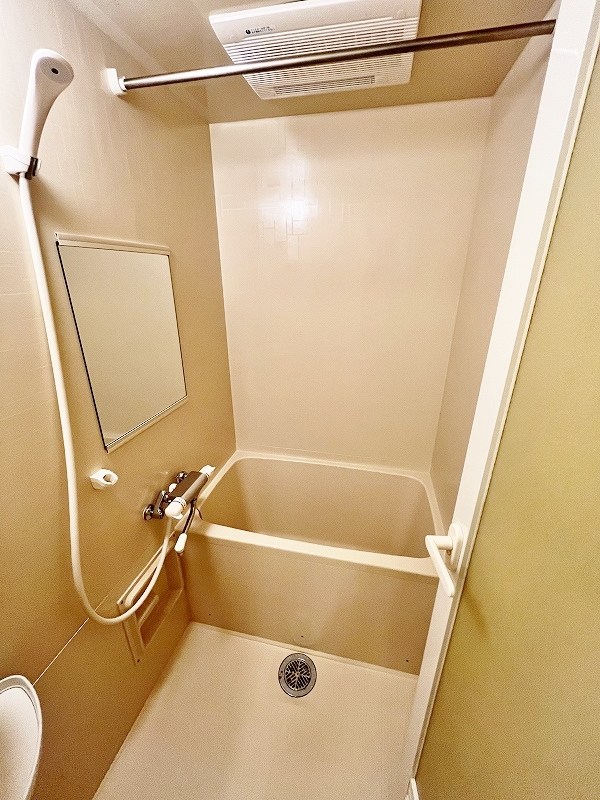 シェレンバウムＦ その他17