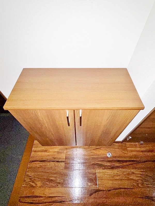 Plaisir (プレジール) その他12