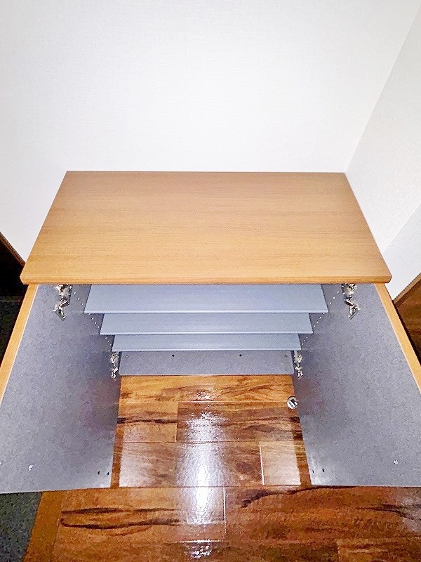 Plaisir (プレジール) その他13