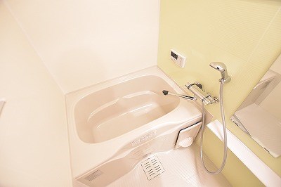 ラグーナ田原新町 風呂画像