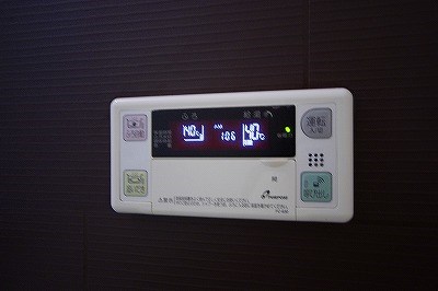 レマーレ  その他11