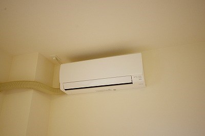 レマーレ  その他17