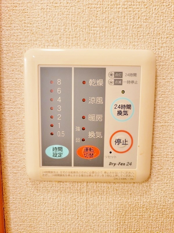 エヴァーグリーンＮ その他5