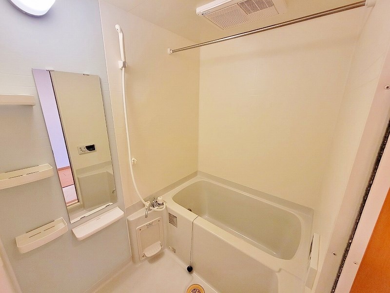 エヴァーグリーンＮ その他28