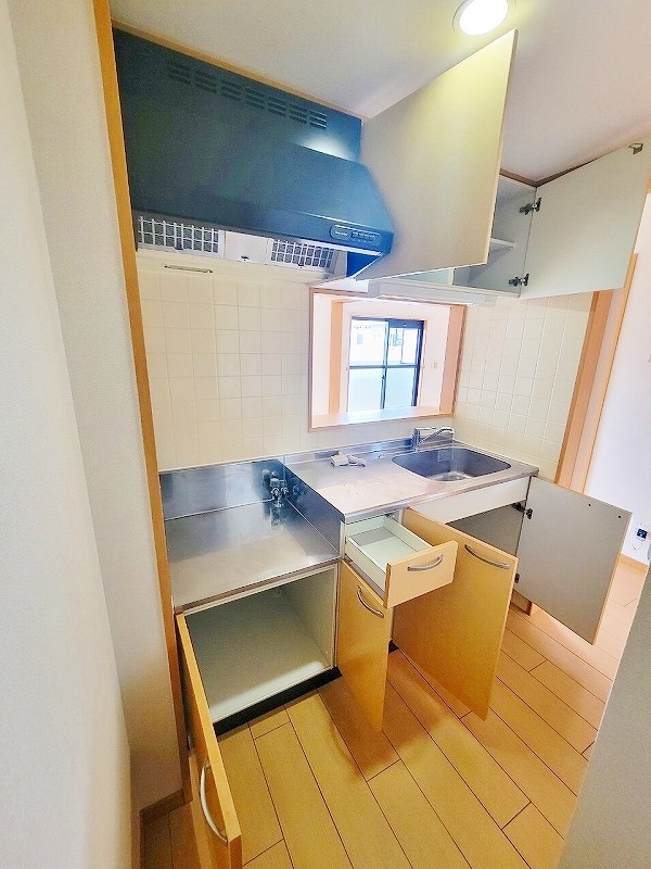 エヴァーグリーンＮ その他33