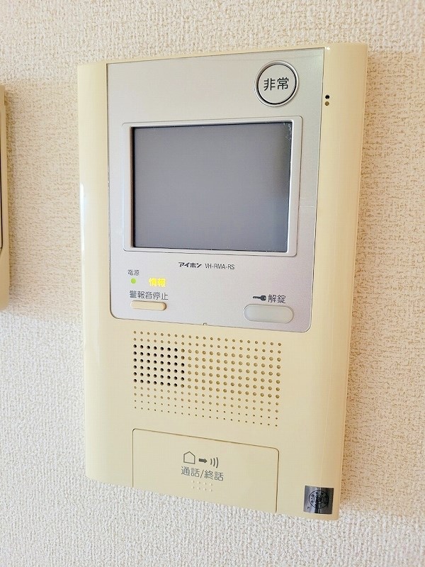 エヴァーグリーンＮ その他36