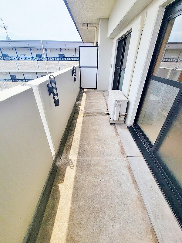 エヴァーグリーンＮ その他40