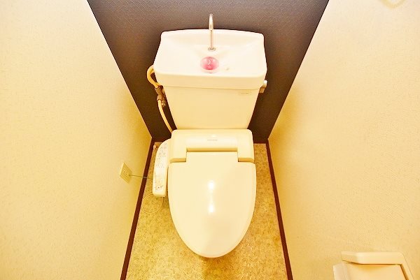 ヤンググレイス若園 その他3