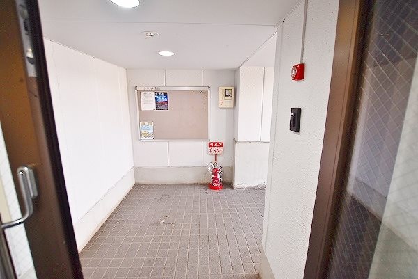 ヤンググレイス若園 その他外観1