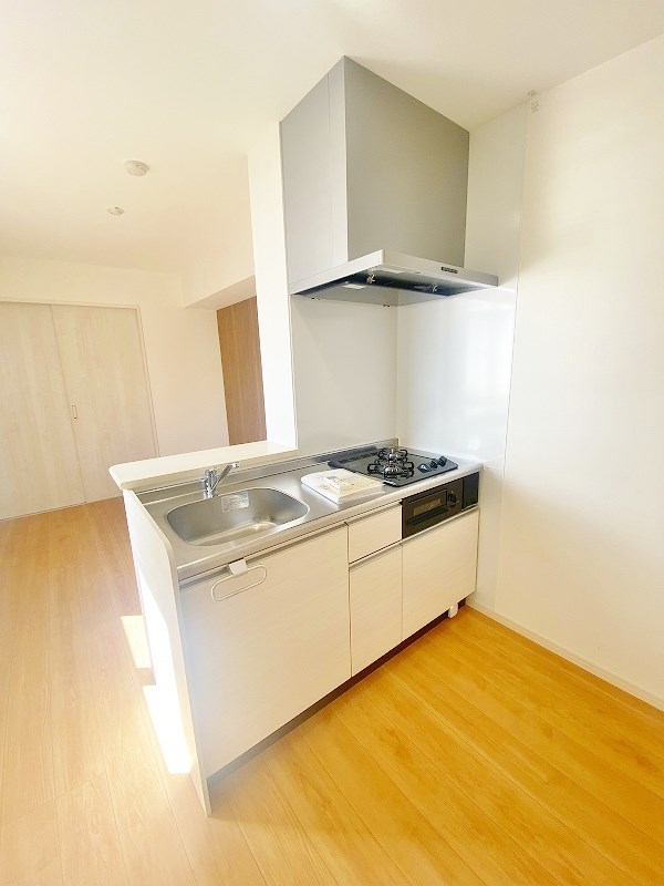 ヴィアンジュ中原東 キッチン