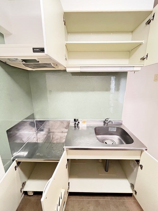 ＣＹＧＮＵＳ（シグナス）  その他22