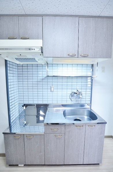 ロイヤルグランデ  その他13