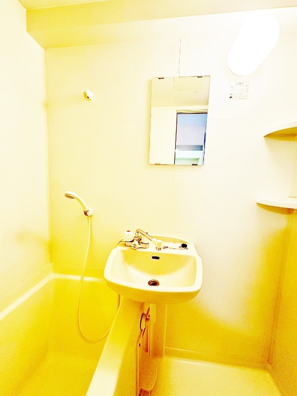 ウイングス片野Ⅰ その他1