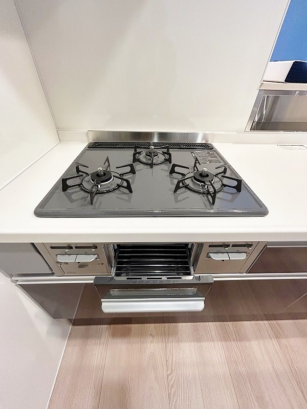 リシェス祇園 その他19